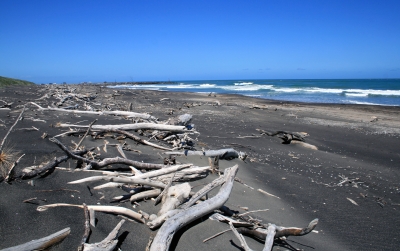 Schwarzer Strand bei Wanganui