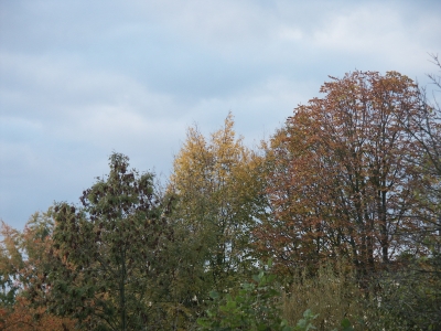 Bunter Herbst