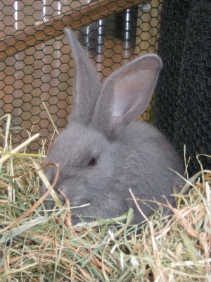 Ostern 2008