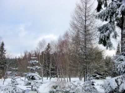 Winter - Landschaft / 2