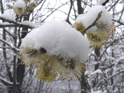 Osterspaziergang im Wald 4