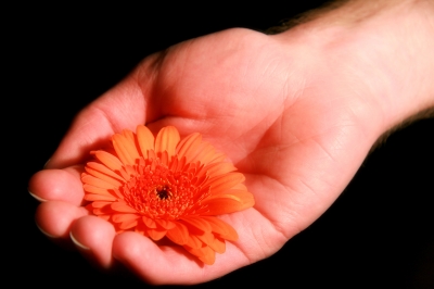 Die Blume in der Hand