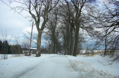 Winter-Landschaft / 5