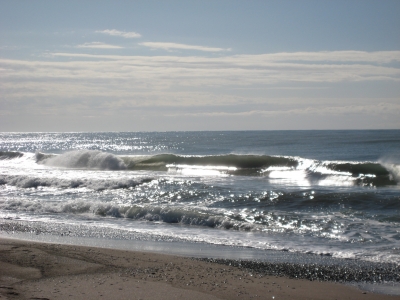 des Meeres und der Liebe Wellen...