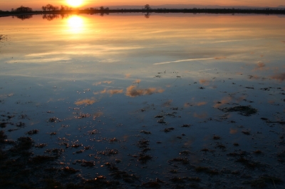 Farben spiegeln sich