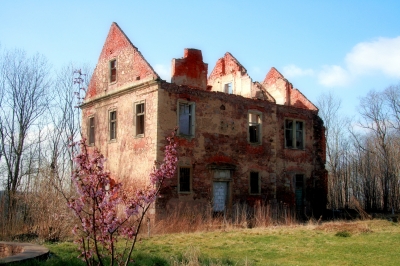 Frühlingseinzug an der Ruine Ehrenberg