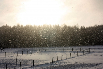 Sonnenschnee