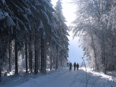 Winterspaziergang