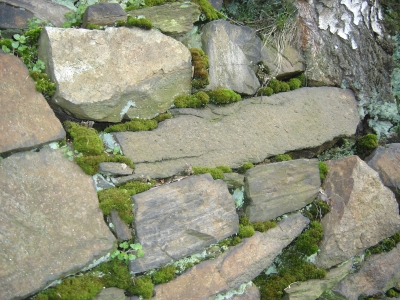 Steinmauer mit Moos