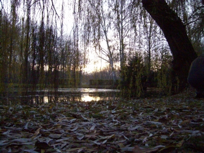 Herbst im Park 1