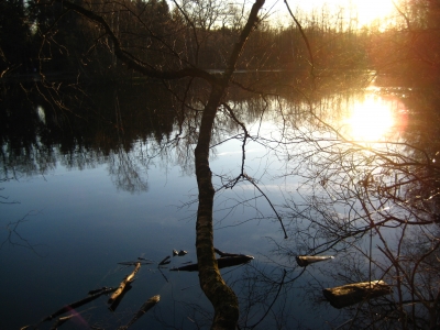 Leyenweiher Troisdorf - Wahner Heide