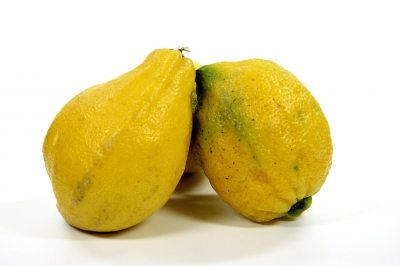 Zitronen 4