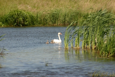 Ein Spaziergang