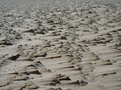 Strand von Fanö