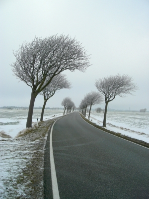 Bevorzugte Windrichtung