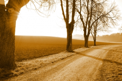 weg in sepia