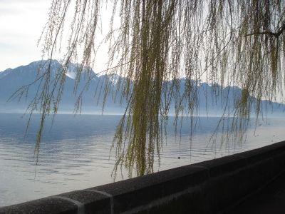 Genfer See - Der Frühling naht