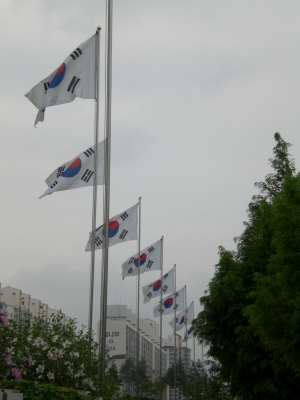 koreanische Flagge