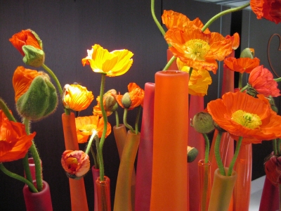 Rotorange Blüten und Vasen-Arrangement