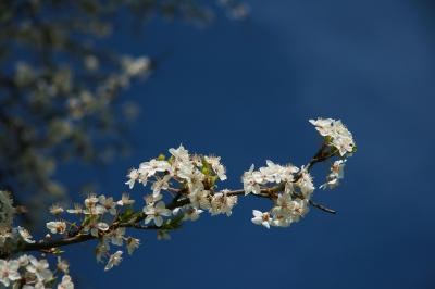 In der Frühlingsluft