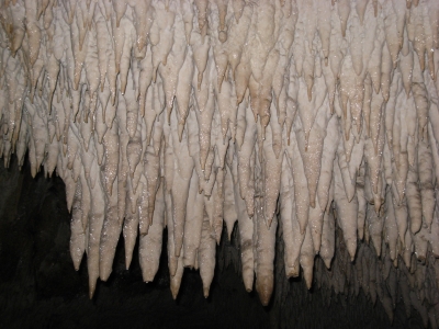 Weißer kristallartiger Kalzium 1 - Rajkos Grotte, Serbien