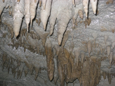 Weißer kristallartiger Kalzium 3 - Rajkos Grotte, Serbien