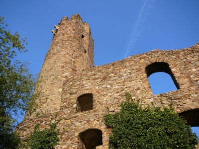 Burgruine Ehrenfels