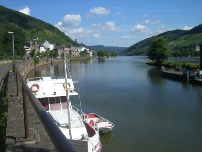 Blick auf die Mosel 01