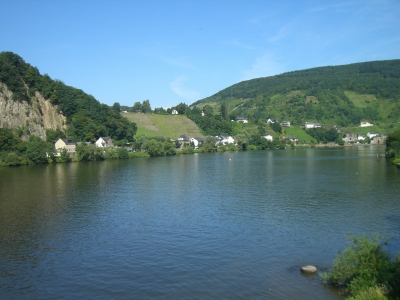 Blick über die Mosel 1