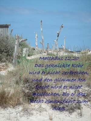 Matthäus 12,20