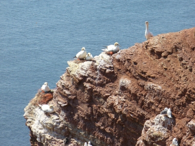 Helgoland