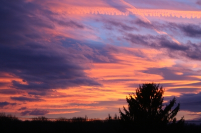 Morgenrot in Wien