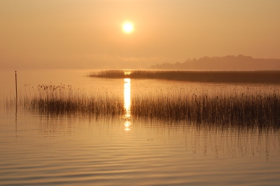 Sonnenaufgang am Lough Ree