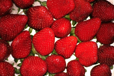 Erdbeeren 3