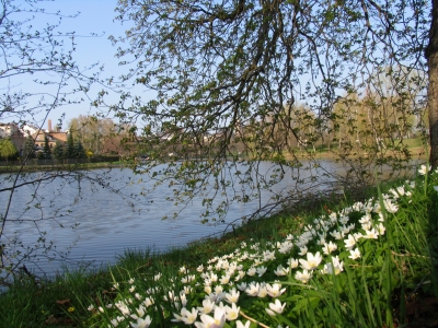 Frühlingsimpressionen am Großteich