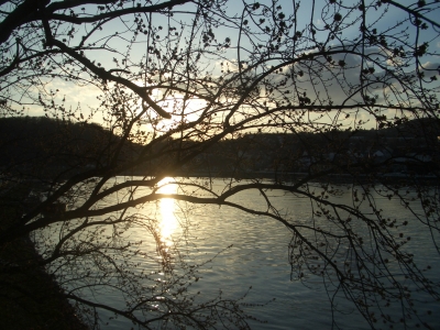 Sonnenuntergang an der  Donau