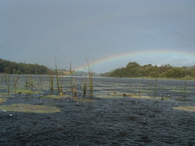 Regenbogen über See in Irland