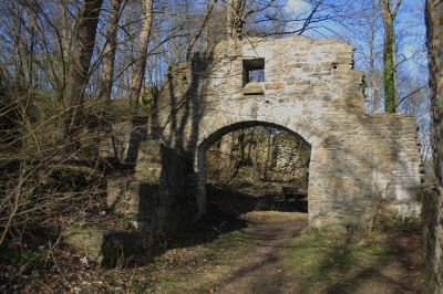 Ruine Schwarzenberg