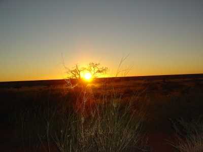Sonnenuntergang in der Namib 2004  Deutsch -Suedwest