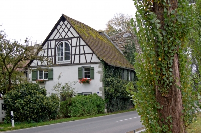 Ruine der Wasserburg »Schopflen«