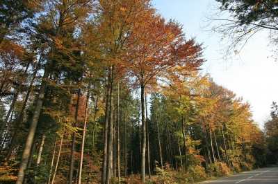 Herbststraße
