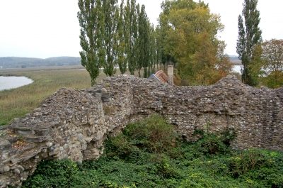 Ruine der Wasserburg »Schopflen«