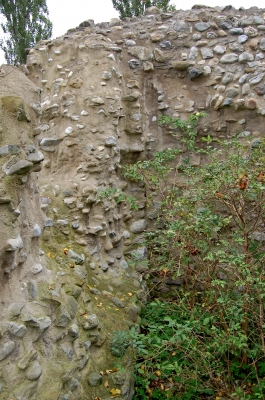 Ruine der Wasserburg »Schopflen«
