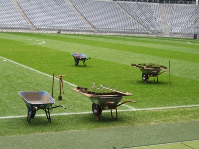Rasen der Allianz Arena
