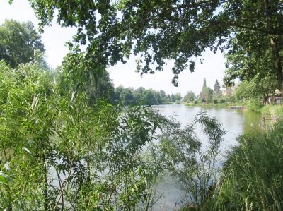 Großteich von Geringswalde