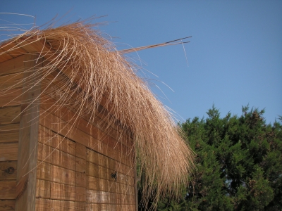 Laßt uns Hütten bauen