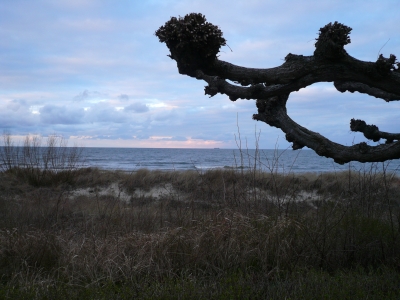 Abendstimmung an der Ostsee