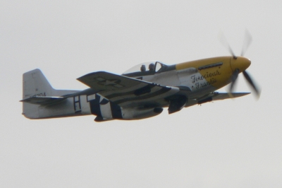 Mustang P-51 "Heroicus Frankie"