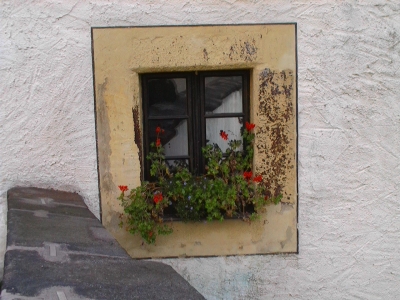 Fensterblick