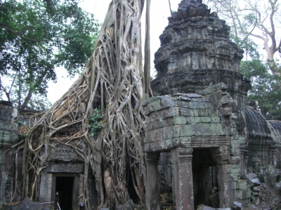 Dschungeltempel Angkor - Gebiet Kambodscha